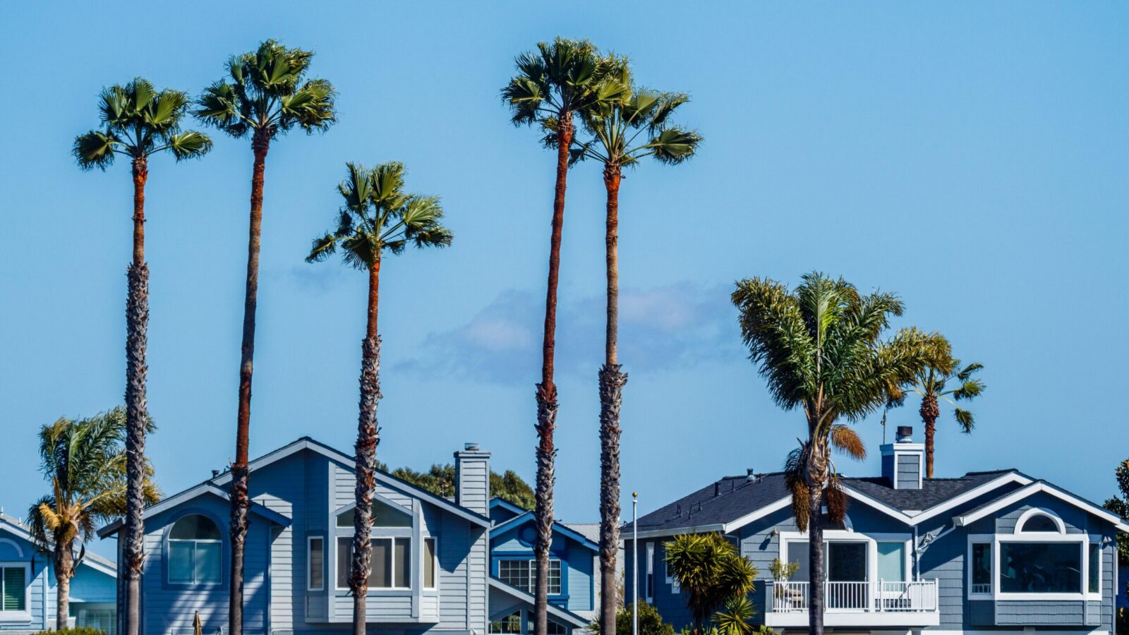 Serene seaside neighborhood with palm trees and charming houses under a clear blue sky.