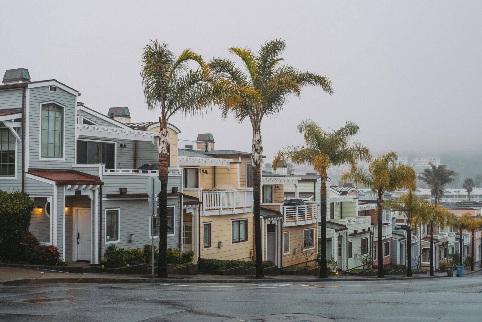 A picturesque suburban street with colorful houses and palm trees enveloped in foggy weather.