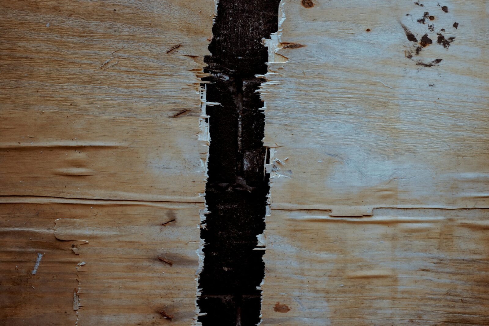 Close-up of rustic wooden texture with a prominent crack, ideal for backgrounds and design projects.