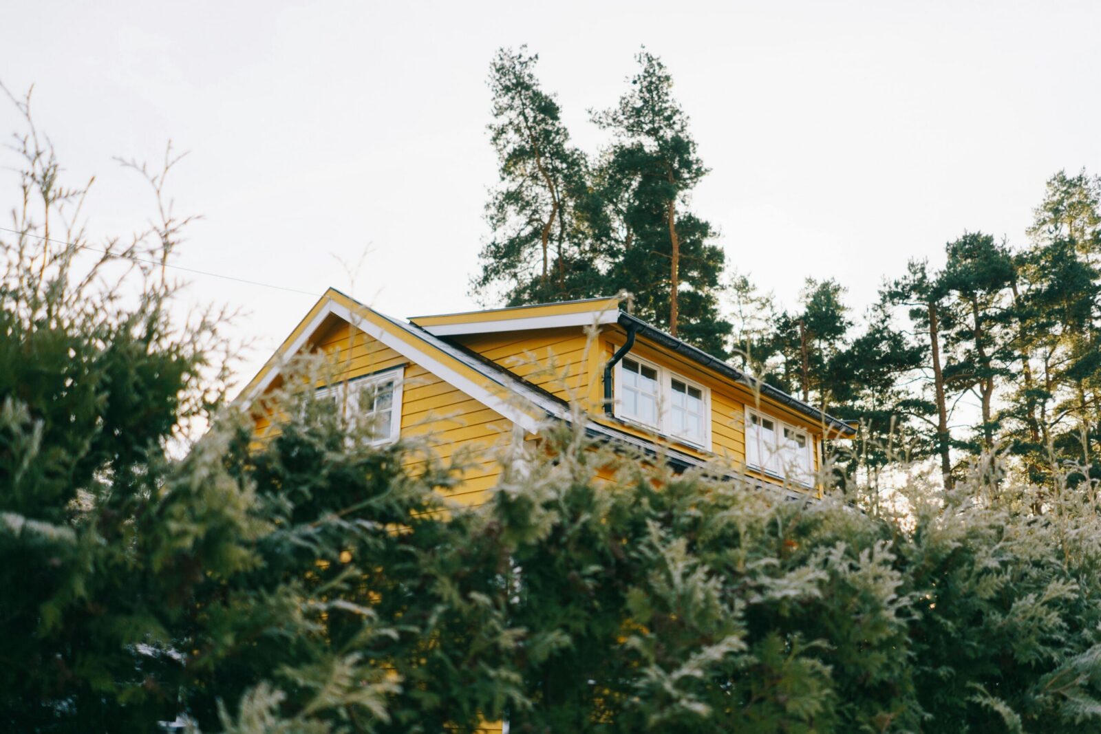 A picturesque yellow house surrounded by lush green trees, ideal for country living.
