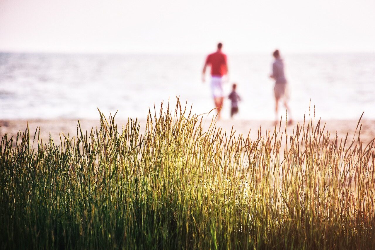 family, beach, vacation, grass, sea, nature, coast, landscape, reeds, summer, atlantic sea, family, family, family, family, family