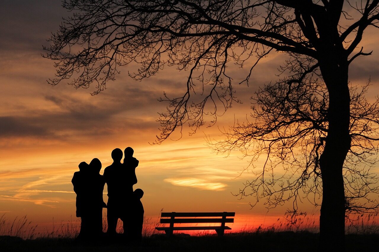 family, sunset, woman, children, father, mother, validation, child, boy, girl, group, characters, adoption, adoptive families, alone, nature, a single parent, nationals, before, child raising allowance, families, finance, community, company, basis, hartz, quandary, child support, children's charity, small cell, separation, surrogate mother, center, partner, partnership, protection, security, worries, custody, social, rights of access, cohesion